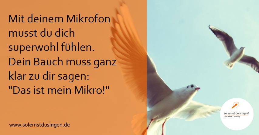 Das passende Mikrofon für deine Stimme